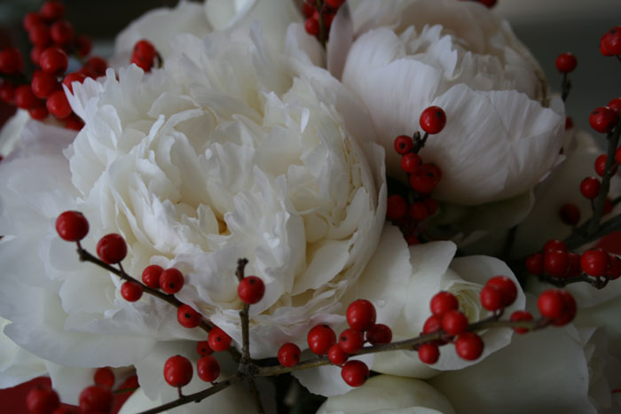 any white flowers will do not sure peonies are in season in December